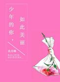 少年的你如此美丽晋江