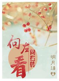 向左看向右转TXT百度