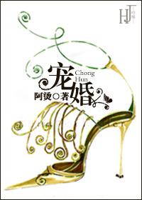 宠婚讲了什么