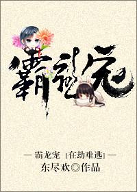 霸龙宠凤李世民阅读