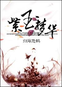 紫玉华府属于什么档次