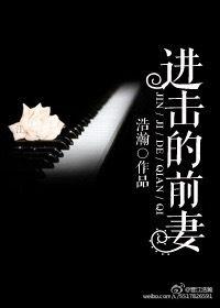 进击的前妻简介