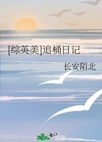 追综电影