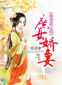 腹黑状元之类的