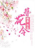 簪花令顾慕番外
