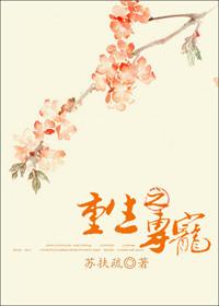 穿越之专宠皇妃