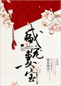宠妻盛宝免费阅读