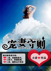 宠妻全文第5卷