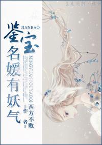 鉴宝全集合集
