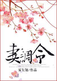 妻调令雾矢翊免费阅读晋江