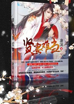 贤妻贤妻闲
