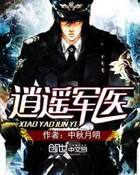 逍遥军医全集