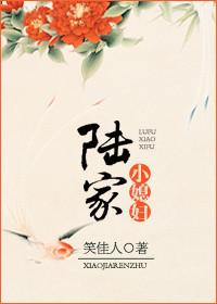陆家小媳妇笑佳人txt