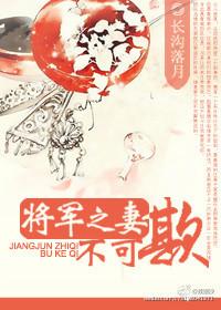 将军之妻不可欺长沟