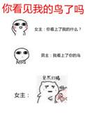 你看见我的鸟了吗西子绪