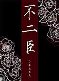 不二臣全集免费观看电视剧