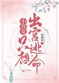 小宫女想上位全文免费