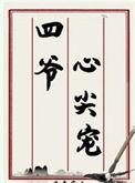 四爷的心尖宠妃原版