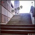 绝不放手剧未删减版