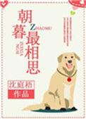 朝暮最相思 对应5个字名字是什么