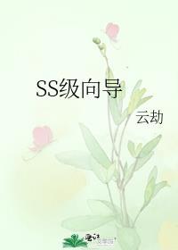 穿越到星际我成为sss级向导