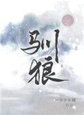 驯狼by八千岁TXT