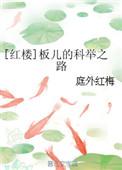 红楼之板儿的科举之路