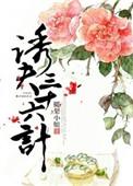 驭夫三十六计正版