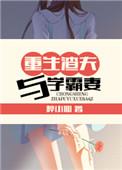 重生渣夫与学霸妻盘搜搜