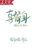 真替身免费阅读