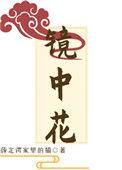 镜中花 无梦