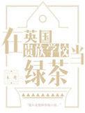 在英国贵族学校当绿茶by木三观讲什么