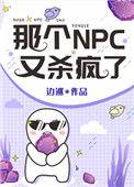 那个NPC又杀疯了by边巡txt