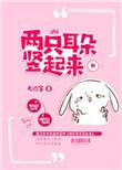 兔子两只耳朵竖起来