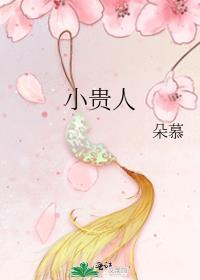 小贵人无删减版全集在线阅读