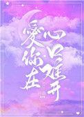 爱你在心口难开 歌词