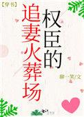 权臣追妻的