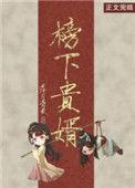 榜下贵婿电视