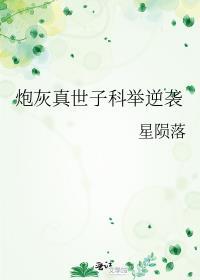 月港大桥事故责任认定