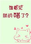 谁看见朕的喵了?txt