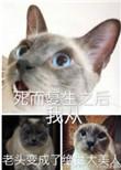 死而复生我从老头讲的什么攻到底是谁
