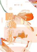 完美妻子