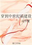 穿到中世纪搞建设TXT百度