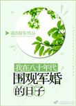 我在八零年代围观军婚的日子