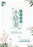 七十年代小娇妻锦清阑