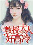 教授大人好高冷18章