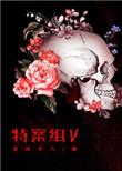 特殊案件调查组Vby