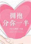 拥抱分你一半全本合售