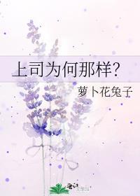 上司为何那样?免费