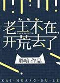 老王不在开荒去了无弹窗